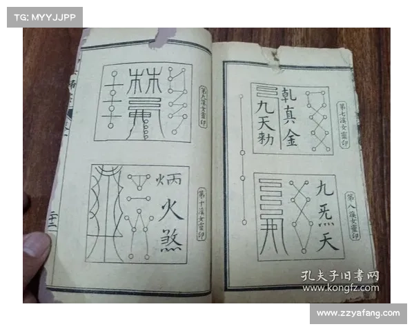 灵蛇现世 万符归一 灵蛇现世 万符归一