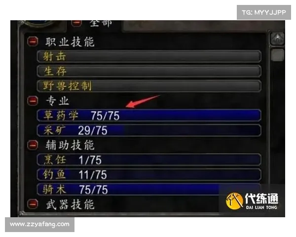 魔兽世界怀旧服:探索侏儒法师的练级之道 魔兽世界怀旧服:探索侏儒法师的练级之道